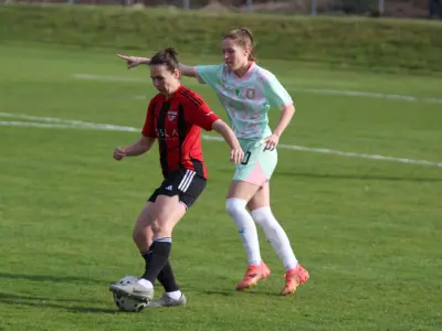 18. krog: Olimpija zmagala kar 7:0, večino dela opravila v prvem polčasu. - Golavt