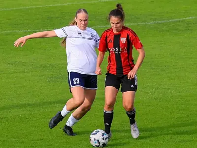 Primorje je z visoko zmago 7:2 proti Krimu potrdilo tretje mesto po jesenskem delu SŽNL in zaključilo leto v zmagovalnem slogu. - Golavt